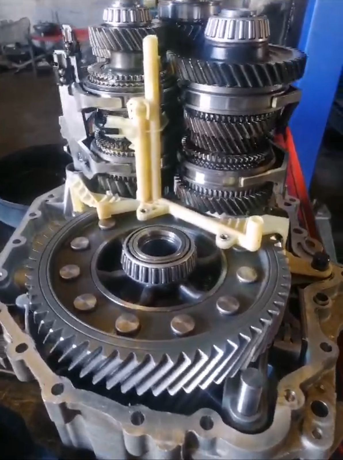 Revisión compleja de caja DSG GTi MK7.5